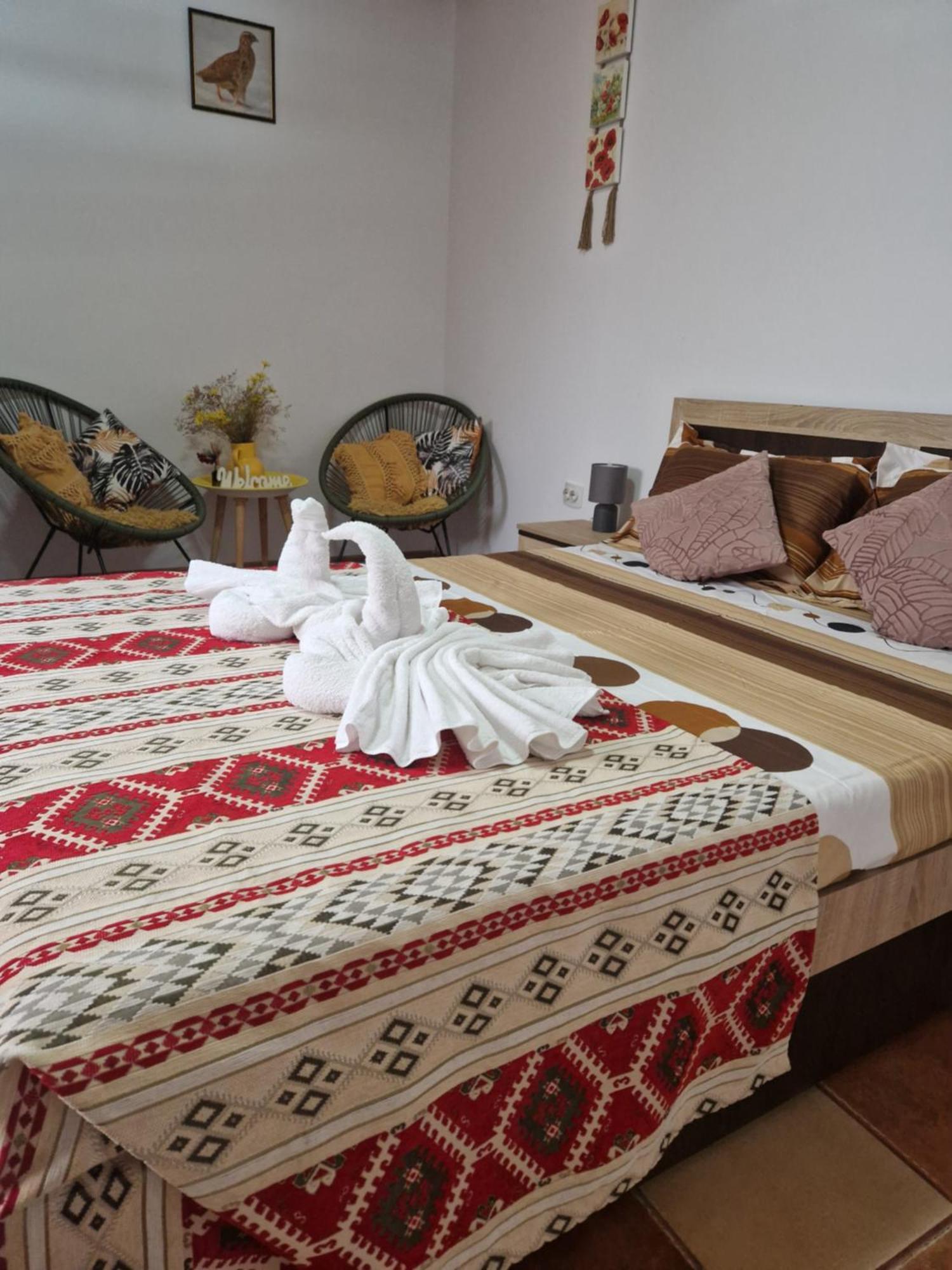 Casa Roko Hotel Sfantu Gheorghe  Luaran gambar